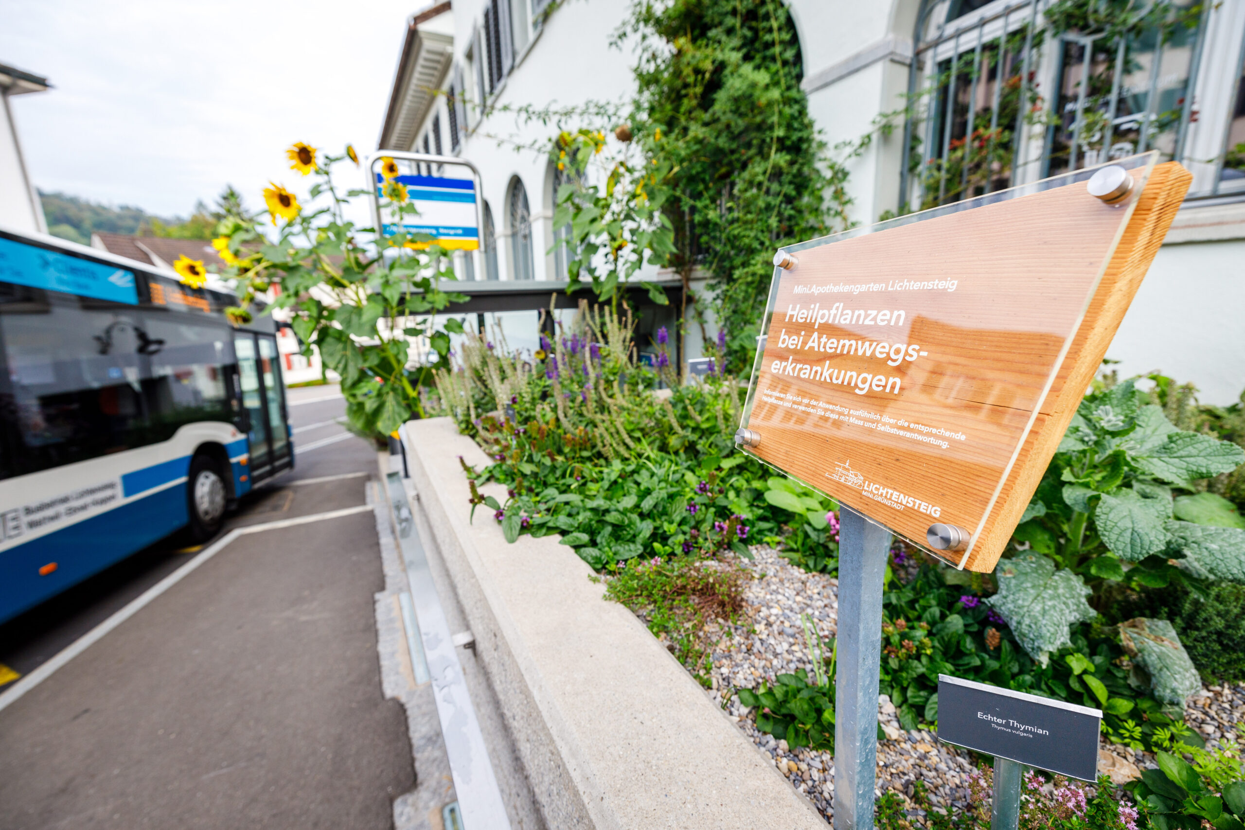 Gemeinde-Lichtensteig-Apothekengarten-selberEssen-bei-Bushaltestelle