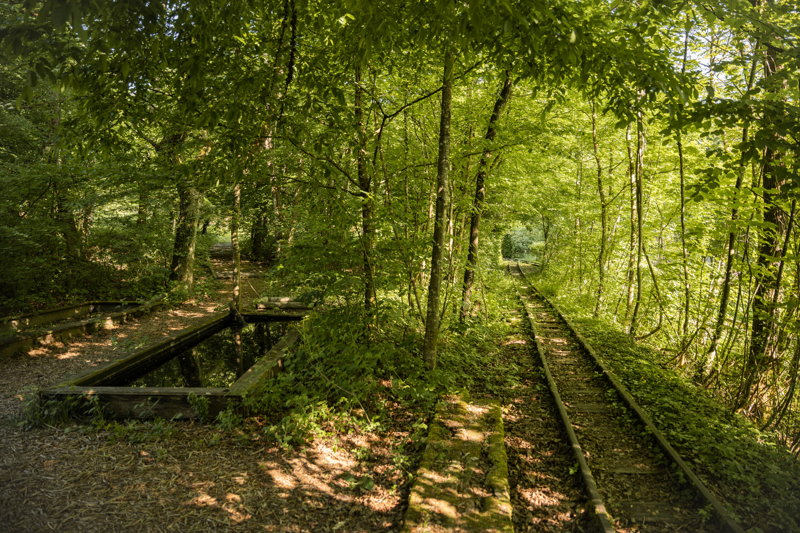 03_Eriwis_BindingPreis25_Geleise_StefanieWürsch