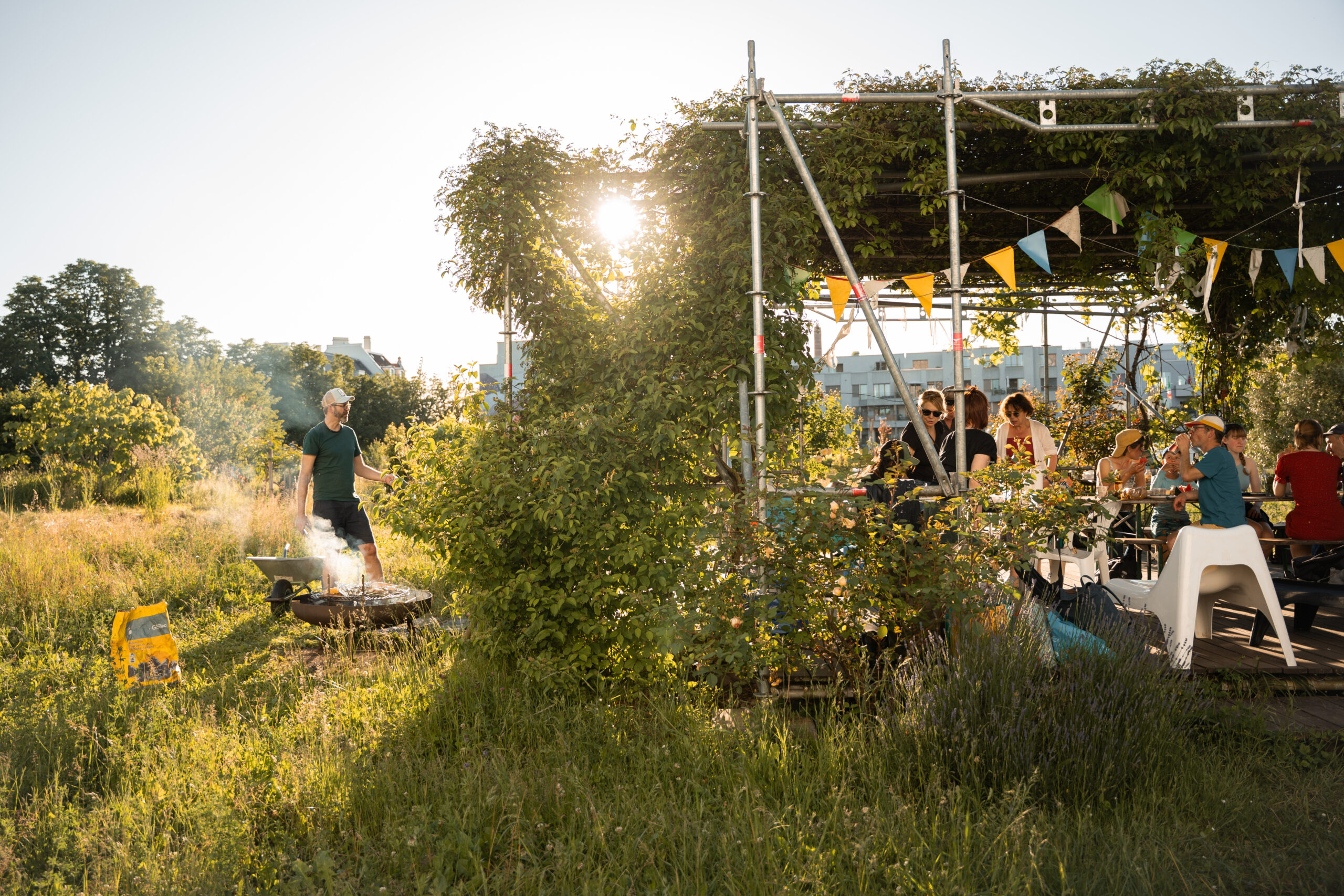 03_Hard_Anerkennungspreis25_Pergola_StefanieWürsch